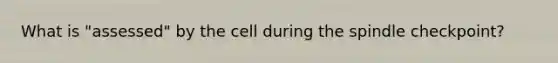 What is "assessed" by the cell during the spindle checkpoint?