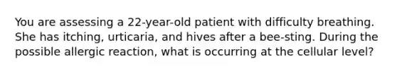 You are assessing a 22-year-old patient with difficulty breathing. She has itching, urticaria, and hives after a bee-sting. During the possible allergic reaction, what is occurring at the cellular level?