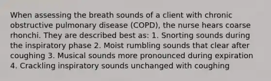 When assessing the breath sounds of a client with chronic obstructive pulmonary disease (COPD), the nurse hears coarse rhonchi. They are described best as: 1. Snorting sounds during the inspiratory phase 2. Moist rumbling sounds that clear after coughing 3. Musical sounds more pronounced during expiration 4. Crackling inspiratory sounds unchanged with coughing