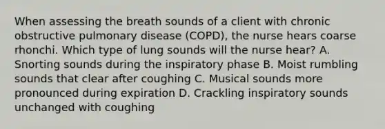 When assessing the breath sounds of a client with chronic obstructive pulmonary disease (COPD), the nurse hears coarse rhonchi. Which type of lung sounds will the nurse hear? A. Snorting sounds during the inspiratory phase B. Moist rumbling sounds that clear after coughing C. Musical sounds more pronounced during expiration D. Crackling inspiratory sounds unchanged with coughing