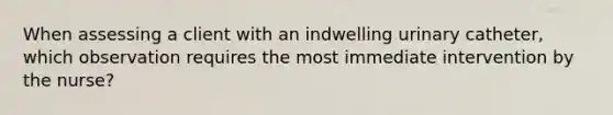 When assessing a client with an indwelling urinary catheter, which observation requires the most immediate intervention by the nurse?