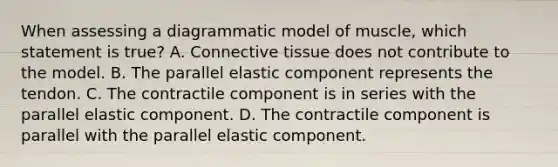 When assessing a diagrammatic model of muscle, which statement is true? A. Connective tissue does not contribute to the model. B. The parallel elastic component represents the tendon. C. The contractile component is in series with the parallel elastic component. D. The contractile component is parallel with the parallel elastic component.