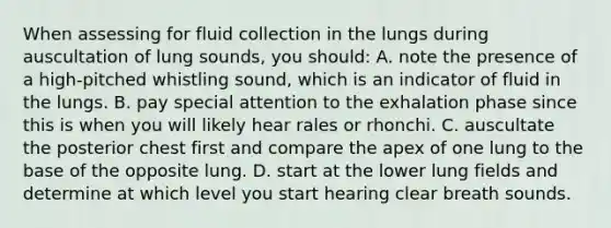 When assessing for fluid collection in the lungs during auscultation of lung sounds, you should: A. note the presence of a high-pitched whistling sound, which is an indicator of fluid in the lungs. B. pay special attention to the exhalation phase since this is when you will likely hear rales or rhonchi. C. auscultate the posterior chest first and compare the apex of one lung to the base of the opposite lung. D. start at the lower lung fields and determine at which level you start hearing clear breath sounds.