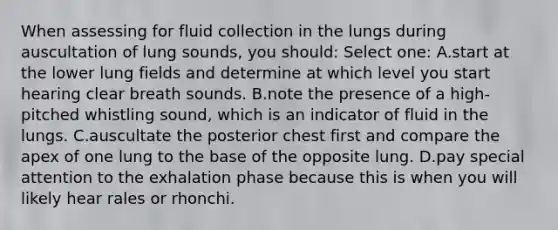 When assessing for fluid collection in the lungs during auscultation of lung sounds, you should: Select one: A.start at the lower lung fields and determine at which level you start hearing clear breath sounds. B.note the presence of a high-pitched whistling sound, which is an indicator of fluid in the lungs. C.auscultate the posterior chest first and compare the apex of one lung to the base of the opposite lung. D.pay special attention to the exhalation phase because this is when you will likely hear rales or rhonchi.