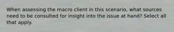 When assessing the macro client in this scenario, what sources need to be consulted for insight into the issue at hand? Select all that apply.