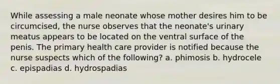 While assessing a male neonate whose mother desires him to be circumcised, the nurse observes that the neonate's urinary meatus appears to be located on the ventral surface of the penis. The primary health care provider is notified because the nurse suspects which of the following? a. phimosis b. hydrocele c. epispadias d. hydrospadias