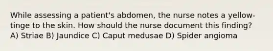 While assessing a patient's abdomen, the nurse notes a yellow-tinge to the skin. How should the nurse document this finding? A) Striae B) Jaundice C) Caput medusae D) Spider angioma