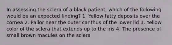 In assessing the sclera of a black patient, which of the following would be an expected finding? 1. Yellow fatty deposits over the cornea 2. Pallor near the outer canthus of the lower lid 3. Yellow color of the sclera that extends up to the iris 4. The presence of small brown macules on the sclera