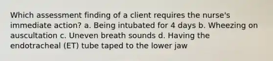 Which assessment finding of a client requires the nurse's immediate action? a. Being intubated for 4 days b. Wheezing on auscultation c. Uneven breath sounds d. Having the endotracheal (ET) tube taped to the lower jaw