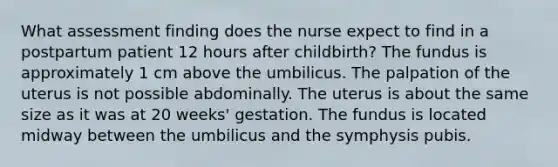 What assessment finding does the nurse expect to find in a postpartum patient 12 hours after childbirth? The fundus is approximately 1 cm above the umbilicus. The palpation of the uterus is not possible abdominally. The uterus is about the same size as it was at 20 weeks' gestation. The fundus is located midway between the umbilicus and the symphysis pubis.