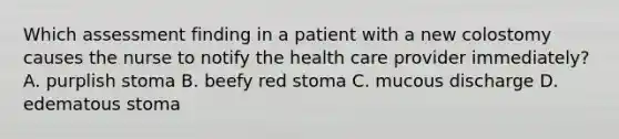 Which assessment finding in a patient with a new colostomy causes the nurse to notify the health care provider immediately? A. purplish stoma B. beefy red stoma C. mucous discharge D. edematous stoma