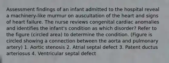 Assessment findings of an infant admitted to the hospital reveal a machinery-like murmur on auscultation of the heart and signs of heart failure. The nurse reviews congenital cardiac anomalies and identifies the infant's condition as which disorder? Refer to the figure (circled area) to determine the condition. (Figure is circled showing a connection between the aorta and pulmonary artery) 1. Aortic stenosis 2. Atrial septal defect 3. Patent ductus arteriosus 4. Ventricular septal defect