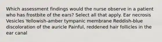 Which assessment findings would the nurse observe in a patient who has frostbite of the ears? Select all that apply. Ear necrosis Vesicles Yellowish-amber tympanic membrane Reddish-blue discoloration of the auricle Painful, reddened hair follicles in the ear canal