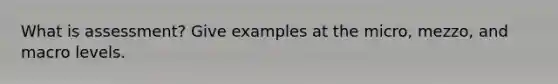 What is assessment? Give examples at the micro, mezzo, and macro levels.