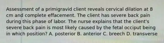 Assessment of a primigravid client reveals cervical dilation at 8 cm and complete effacement. The client has severe back pain during this phase of labor. The nurse explains that the client's severe back pain is most likely caused by the fetal occiput being in which position? A. posterior B. anterior C. breech D. transverse