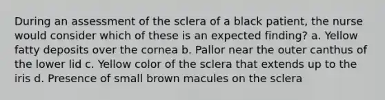 During an assessment of the sclera of a black patient, the nurse would consider which of these is an expected finding? a. Yellow fatty deposits over the cornea b. Pallor near the outer canthus of the lower lid c. Yellow color of the sclera that extends up to the iris d. Presence of small brown macules on the sclera