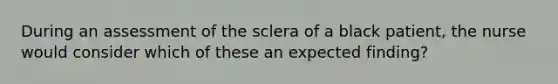 During an assessment of the sclera of a black patient, the nurse would consider which of these an expected finding?