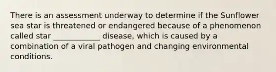 There is an assessment underway to determine if the Sunflower sea star is threatened or endangered because of a phenomenon called star ____________ disease, which is caused by a combination of a viral pathogen and changing environmental conditions.