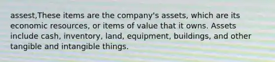 assest,These items are the company's assets, which are its economic resources, or items of value that it owns. Assets include cash, inventory, land, equipment, buildings, and other tangible and intangible things.