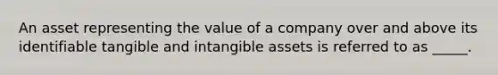 An asset representing the value of a company over and above its identifiable tangible and intangible assets is referred to as _____.