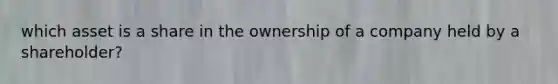 which asset is a share in the ownership of a company held by a shareholder?