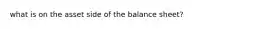 what is on the asset side of the balance sheet?