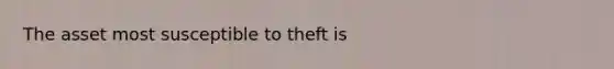 The asset most susceptible to theft is