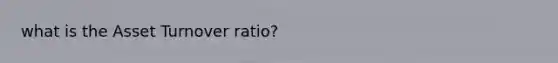 what is the Asset Turnover ratio?
