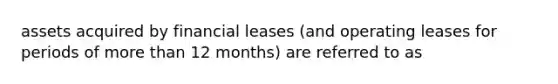 assets acquired by financial leases (and <a href='https://www.questionai.com/knowledge/kGWvJyv7TT-operating-leases' class='anchor-knowledge'>operating leases</a> for periods of <a href='https://www.questionai.com/knowledge/keWHlEPx42-more-than' class='anchor-knowledge'>more than</a> 12 months) are referred to as