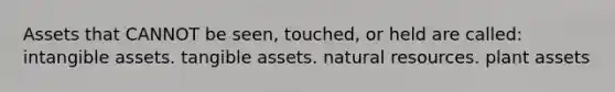 Assets that CANNOT be seen, touched, or held are called: intangible assets. tangible assets. natural resources. plant assets