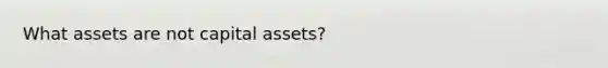 What assets are not capital assets?