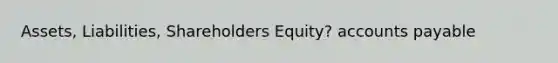 Assets, Liabilities, Shareholders Equity? accounts payable