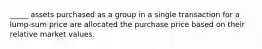 _____ assets purchased as a group in a single transaction for a lump-sum price are allocated the purchase price based on their relative market values.