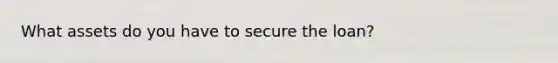 What assets do you have to secure the loan?