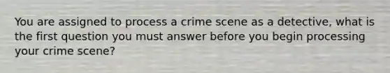 You are assigned to process a crime scene as a detective, what is the first question you must answer before you begin processing your crime scene?