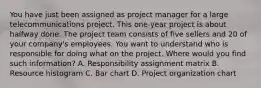 You have just been assigned as project manager for a large telecommunications project. This one-year project is about halfway done. The project team consists of five sellers and 20 of your company's employees. You want to understand who is responsible for doing what on the project. Where would you find such information? A. Responsibility assignment matrix B. Resource histogram C. Bar chart D. Project organization chart