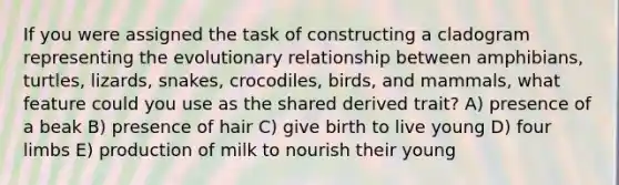 If you were assigned the task of constructing a cladogram representing the evolutionary relationship between amphibians, turtles, lizards, snakes, crocodiles, birds, and mammals, what feature could you use as the shared derived trait? A) presence of a beak B) presence of hair C) give birth to live young D) four limbs E) production of milk to nourish their young