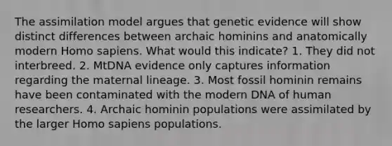 The assimilation model argues that genetic evidence will show distinct differences between archaic hominins and anatomically modern Homo sapiens. What would this indicate? 1. They did not interbreed. 2. MtDNA evidence only captures information regarding the maternal lineage. 3. Most fossil hominin remains have been contaminated with the modern DNA of human researchers. 4. Archaic hominin populations were assimilated by the larger Homo sapiens populations.