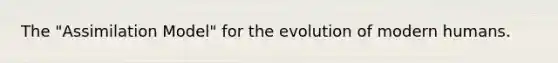 The "Assimilation Model" for the evolution of modern humans.