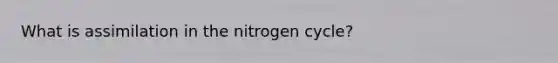 What is assimilation in the nitrogen cycle?