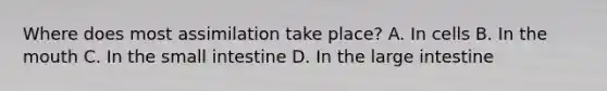Where does most assimilation take place? A. In cells B. In the mouth C. In the small intestine D. In the large intestine