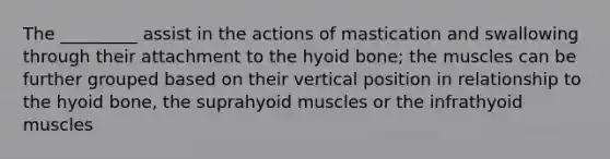 The _________ assist in the actions of mastication and swallowing through their attachment to the hyoid bone; the muscles can be further grouped based on their vertical position in relationship to the hyoid bone, the suprahyoid muscles or the infrathyoid muscles