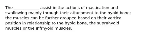 The _____ _______ assist in the actions of mastication and swallowing mainly through their attachment to the hyoid bone; the muscles can be further grouped based on their vertical position in relationship to the hyoid bone, the suprahyoid muscles or the infrhyoid muscles.