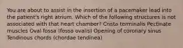 You are about to assist in the insertion of a pacemaker lead into the patient's right atrium. Which of the following structures is not associated with that heart chamber? Crista terminalis Pectinate muscles Oval fossa (fossa ovalis) Opening of coronary sinus Tendinous chords (chordae tendinea)