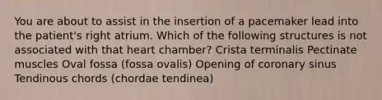 You are about to assist in the insertion of a pacemaker lead into the patient's right atrium. Which of the following structures is not associated with that heart chamber? Crista terminalis Pectinate muscles Oval fossa (fossa ovalis) Opening of coronary sinus Tendinous chords (chordae tendinea)