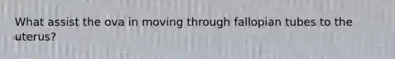 What assist the ova in moving through fallopian tubes to the uterus?