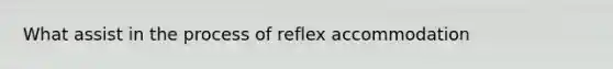 What assist in the process of reflex accommodation