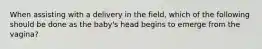 When assisting with a delivery in the field, which of the following should be done as the baby's head begins to emerge from the vagina?