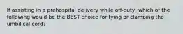 If assisting in a prehospital delivery while off-duty, which of the following would be the BEST choice for tying or clamping the umbilical cord?