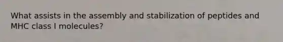 What assists in the assembly and stabilization of peptides and MHC class I molecules?